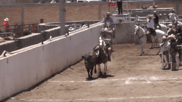 charro.png