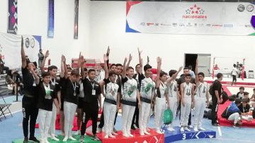 gimnasiaartistica.png