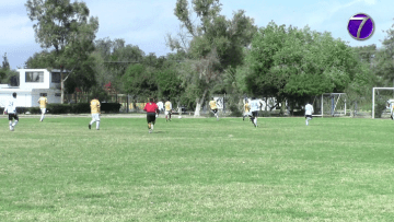 soccer.png