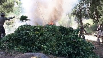 OperativoMarihuanaMarina6