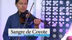 Grupo Sangre de Coyote – Sangre de Coyote