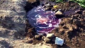 resguardan-toma-clandestina-de-combustible-en-atlacomulco-696×390.jpg