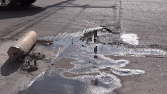 baches