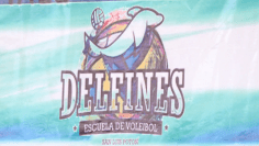 copadelfines