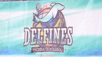 copadelfines