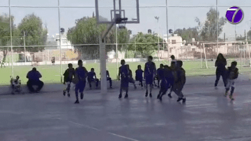 basket
