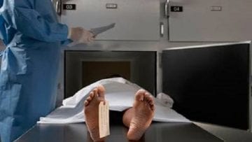 cadaver