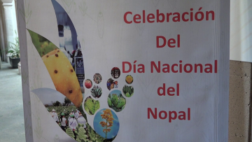 nopal