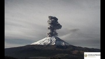 popo_crop1567956798236.jpg_1970638775