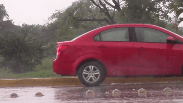 lluvias