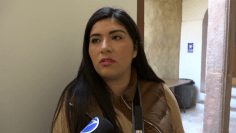 palomabravo