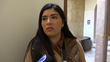 palomabravo