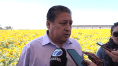 sindicalizados