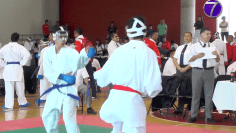 karate