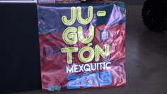 mexquitic