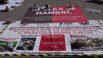 huelgahambre