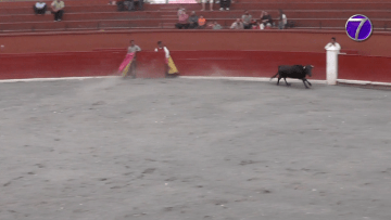 toros