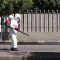 Sanitizacion