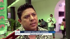 Gallardo