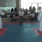 Seleccionados Potosinos De KarateTuvieron Entrenamiento Internacional En Línea