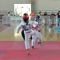 Taekwondoínes Potosinos Participarán En Copa Tabasco