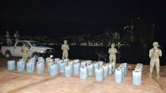 MarinaDecomiso