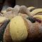 Pau02Rosca