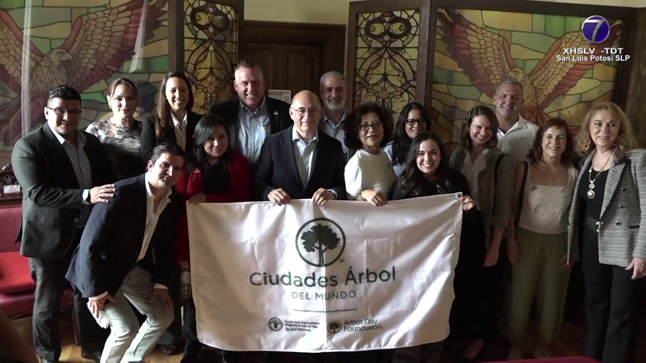 En sesión de Cabildo de SLP se aprueba Día del árbol para la capital ...