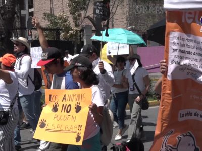 Con marcha, exigen justicia para Laika y Solovino; perritos asesinados a balazos 2 Pau01Aniamlistas