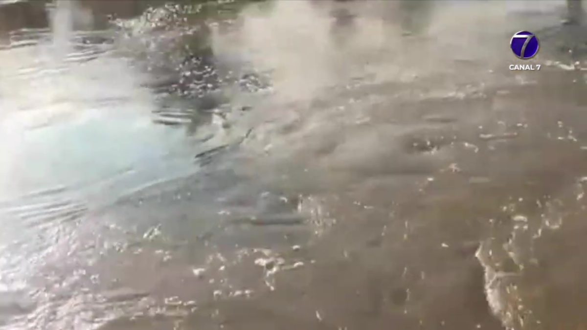 Noticias de México 09/Junio/2026 2 01nacional 4