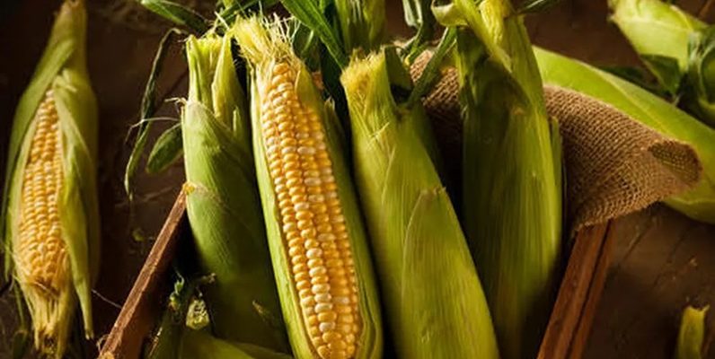 03 27