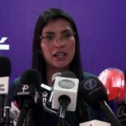 Diferencias entre aliados no afecta estrategia del PAN, afirma su dirigente estatal 10 Claudio01ALoSuyo