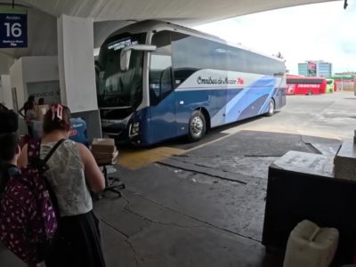 Economia01Autobuses