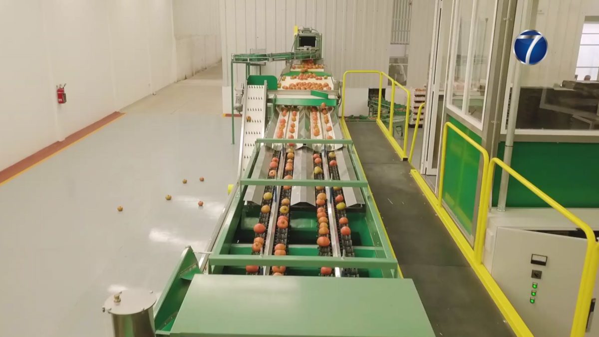 Aumento superior al promedio registran productos de la Canasta Alimentaria 1 Economia01Canasta