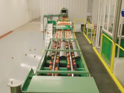 Aumento superior al promedio registran productos de la Canasta Alimentaria 17 Economia01Canasta