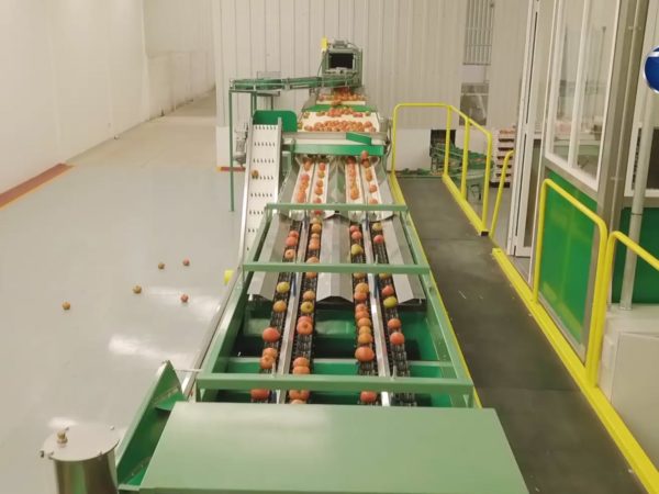 Aumento superior al promedio registran productos de la Canasta Alimentaria 1 Economia01Canasta