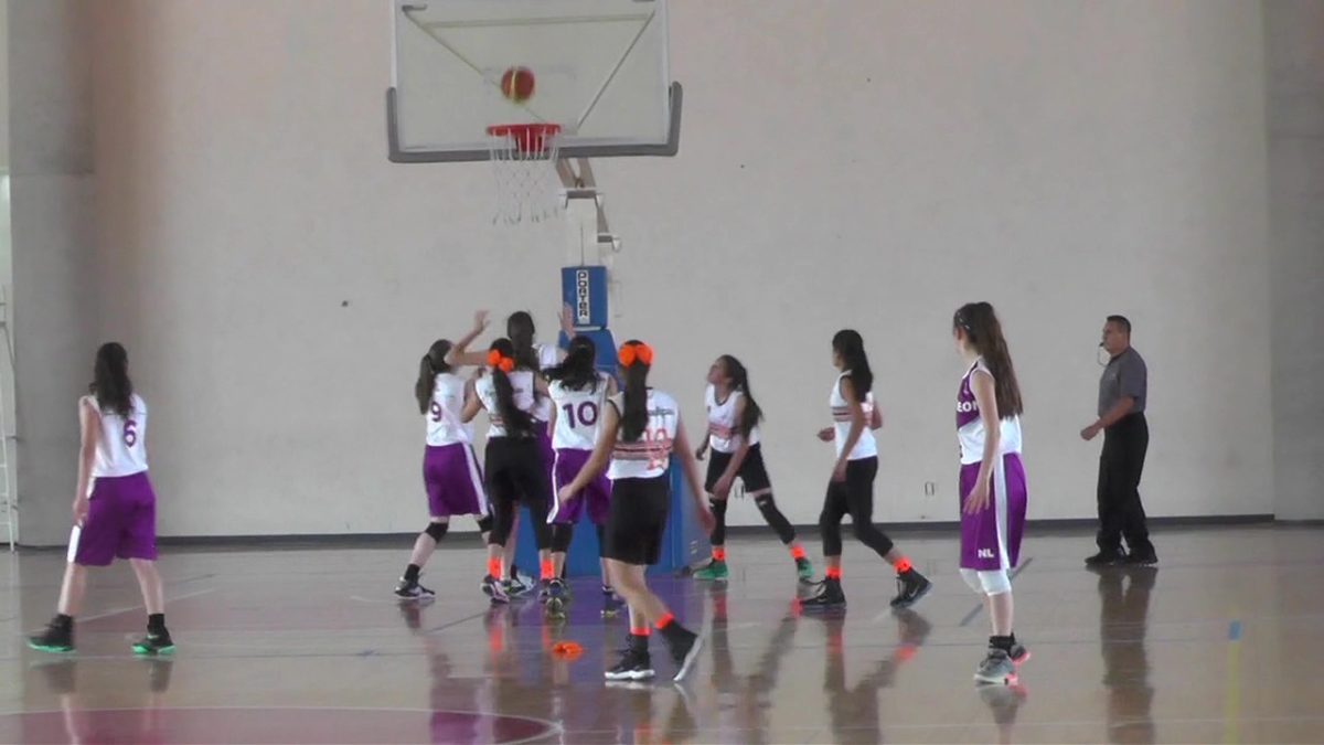 Froi02Basquetbol