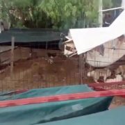 Osvi02Milpillas