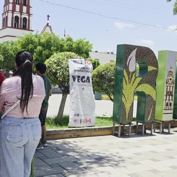 Xochi02Asesorias