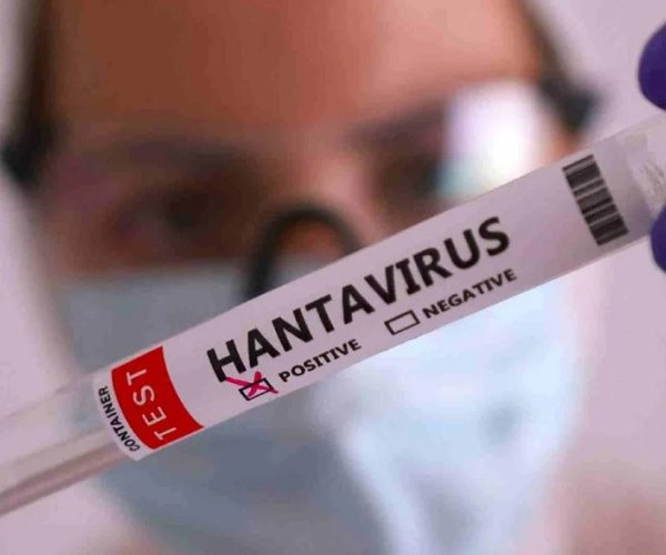 Chile declara alerta sanitaria preventiva por aumento de casos de hantavirus 5 08 18