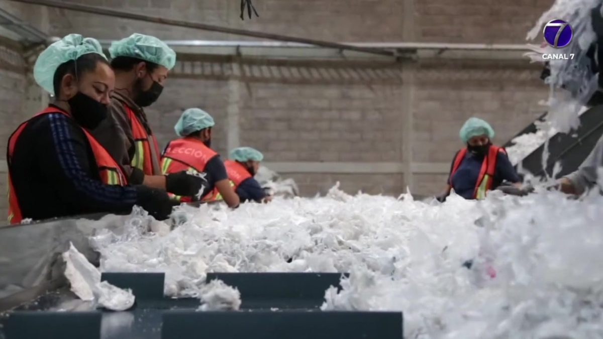Reciclaje de PET elevaría 70% de costos; aunque impulsa economía circular 1 1Finanzas