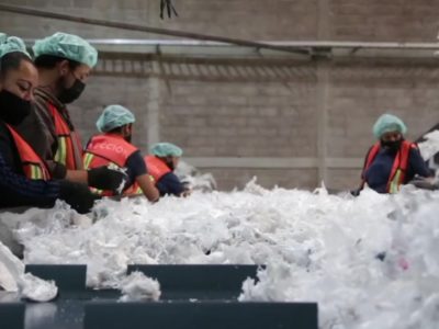 Reciclaje de PET elevaría 70% de costos; aunque impulsa economía circular 3 1Finanzas