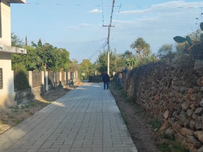 Hombre originario de Cieneguilla fue atacado por abejas; recibió alrededor de 300 picaduras 8 ABEJAS