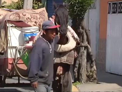 Poky02EcologiaSGS
