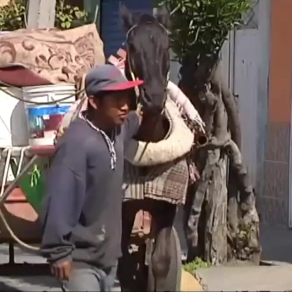 Poky02EcologiaSGS