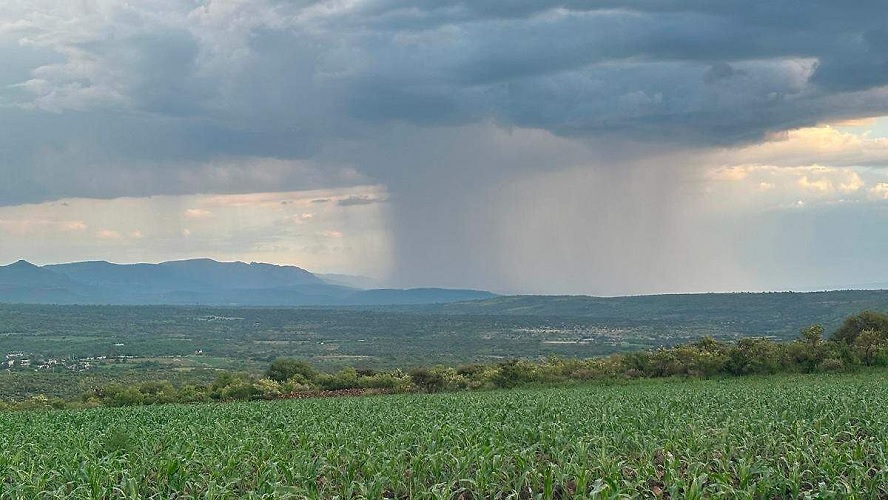 Monzón mexicano intensifica las lluvias en el noroeste y sur del país 2 00 12