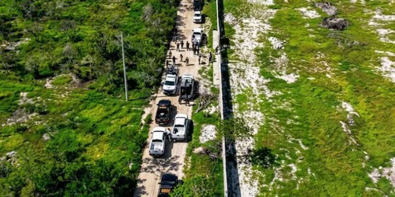 03 3