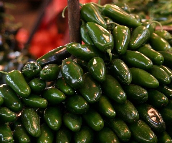 Procesadora de frutas y verduras retira del mercado jalapeños y salsas por alerta de salmonela 6 10 8