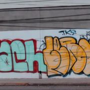 Grafiteros foráneos invaden espacios asignados a artistas locales en la capital, señalan autoridades capitalinas 53 3Grafiteros