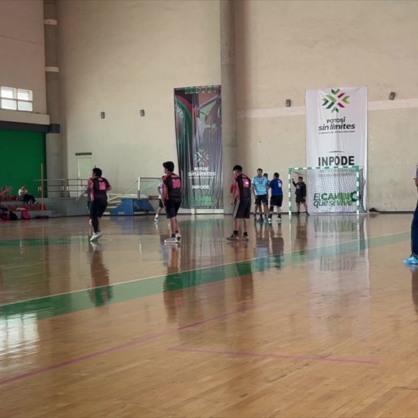 Froi01HandBall